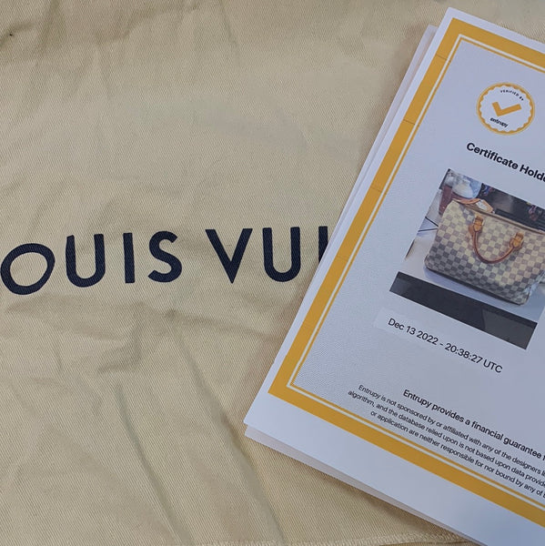 Louis Vuitton Speedy 30 Damier Azur